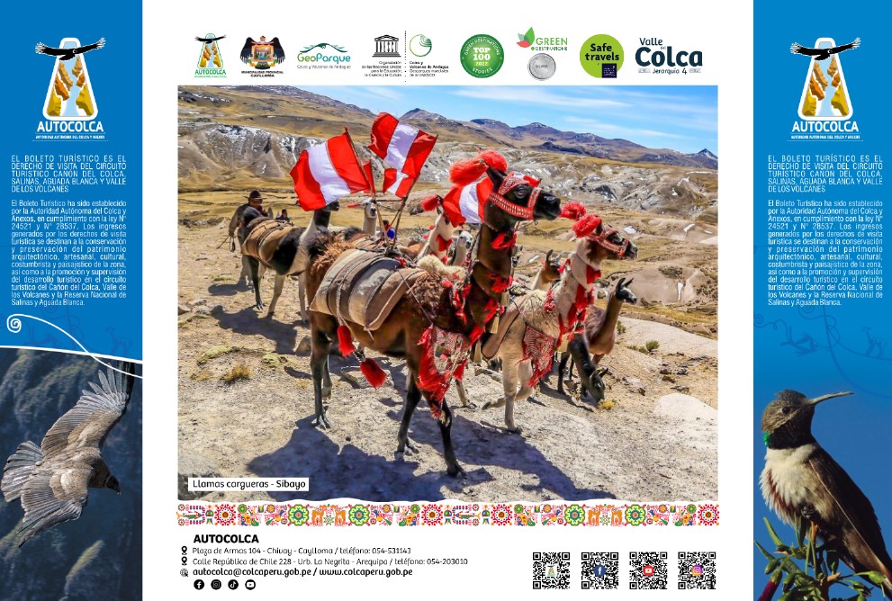 ADULTO Peruano