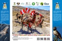 ADULTO Peruano